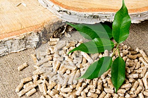 Wood pellets, birch and twig with leaves. Biomass Pellets- cheap energy. Toilets for Pets