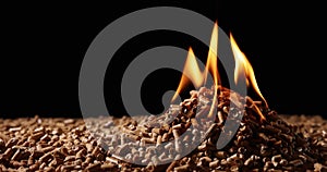 Wood pellets burning. biomass combustion