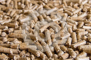 Wood pellets close up .Biofuels. Biomass Pellets - cheap energy. The cat litter photo