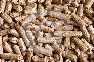 Wood pellets close up .Biofuels. Biomass Pellets - cheap energy. The cat litter