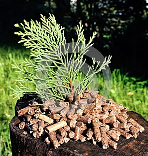 Wood pellets for ecological heating of the house