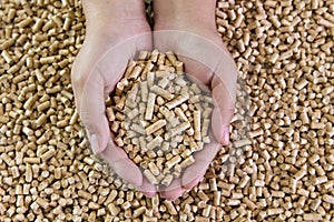 Wood pellets in female hands. Biofuels. Alternative biofuel