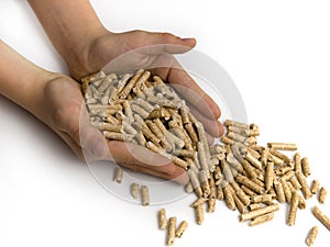 Wood pellets and hands photo