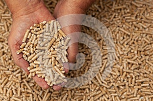 Wood pellets in hands photo