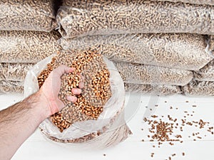 Wood pellets in mans hand photo