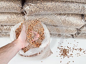 Wood pellets in mans hand photo