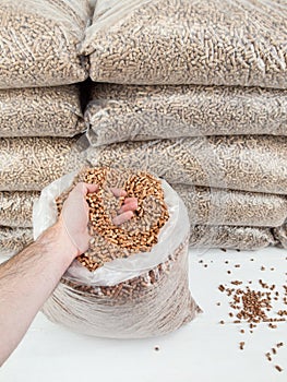 Wood pellets in mans hand photo