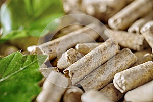 Wood pellets photo