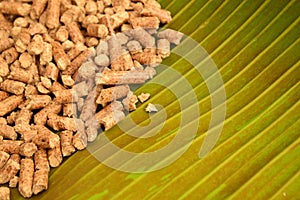 Wood pellets renewable energy