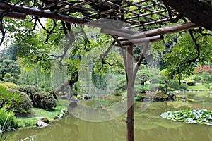 A wood pergola built over a large pond, covered in tree branches in a landscaped Japanese Garden in Seattle, Washington