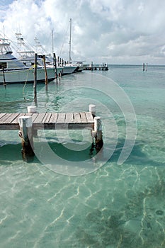 Madera muelle México 