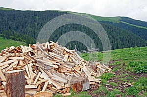 Wood pile