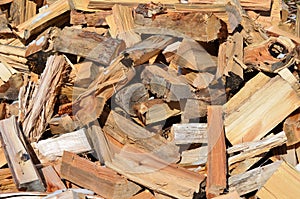 Wood Pile