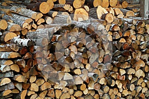 Wood Pile