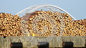 Wood pile on a cocrete pier