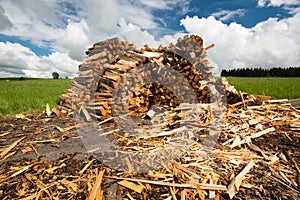 Wood pile of fresh chopped fire wood