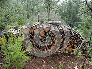 Wood pile next to a fence