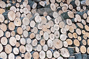 Wood pile reserve for the winter. Pile of chopped firewood. Background texture wood. Wood chips