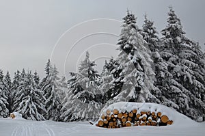 Wood pile with snow