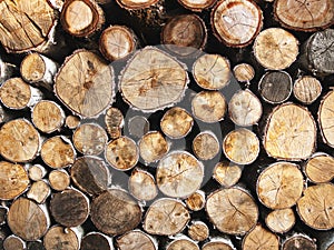 Wood pile