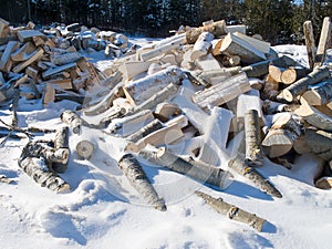 Wood Pile under snow