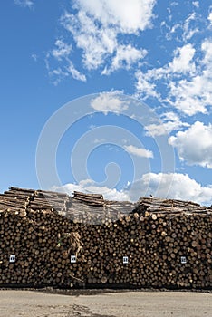 Wood pile wall outside factory with blue sky
