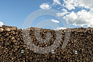 Wood pile wall outside factory with blue sky