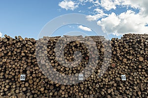 Wood pile wall outside factory with blue sky