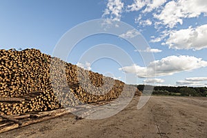 Wood pile wall outside factory with blue sky at a industrial patio