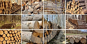 Wood piles collage.