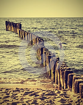 Wood pilings on beach, vintage retro instagram effect.