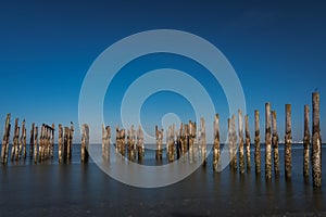 Wood pilings with blue sky ocean views