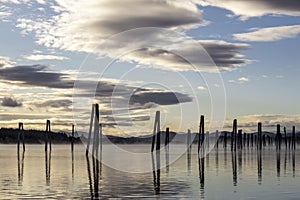 Wood pilings in the Pend Oreille RIver