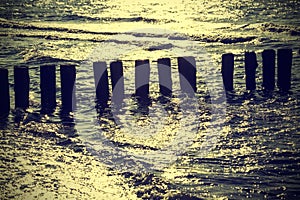 Wood pilings in water against sun, vintage retro instagram effect.