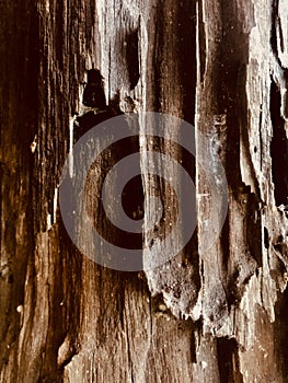 wood pillar brown background