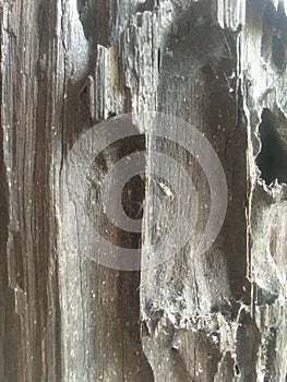 wood pillar background
