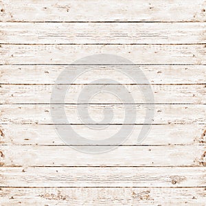 Wood pine plank white texture