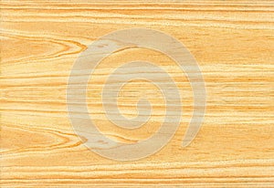 Wood pine texture