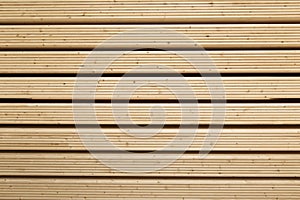 Wood pine timber for construction buildings