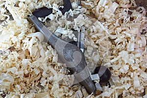 A wood plane lies in the wood shavings it created