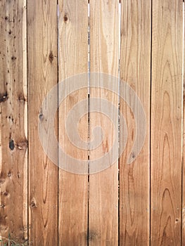 Wood plank background