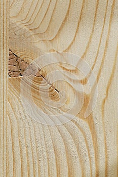 Wood plank detail