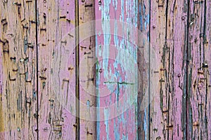 Wood plank in different peeled  off colors, Colorful weathered wooden planks