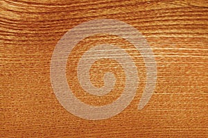 Wood plank grain texture, wooden board striped old fiber.