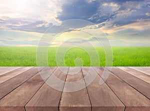Wood plank and natural grass field with sky background