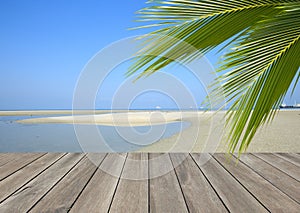 Wood plank over beach with coconut palm tree