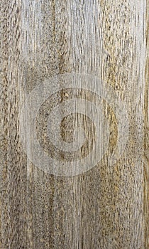 Wood plank texture