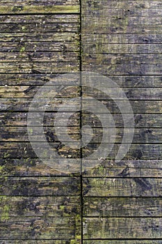 Wood planks photo