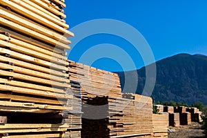 Wood planks stacked in sawmill yard