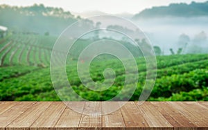 Wood platform beside tea plantation in morning